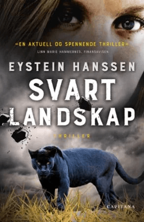 Svart landskap av Eystein Hanssen
