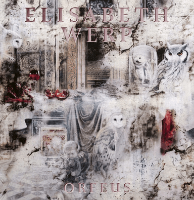 Elisabeth Werp av Cecilie Tyri Holt, Tommy Sørbø