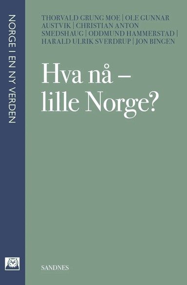 Hva nå - lille Norge? av Ole Gunnar Austvik, Jon Bingen, Oddmund Hammerstad, Thorvald Grung Moe, Christian Anton Smedshaug, Harald Ulrik Sverdrup
