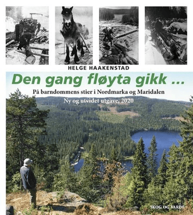 Den gang fløyta gikk... av Helge Haakenstad