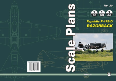 Republic P-47b-D Razorback av Dariusz Karnas