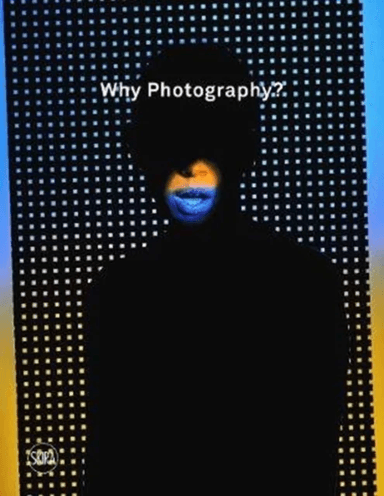 Why Photography? av Brian Sholis, Susanne Ostby Saether