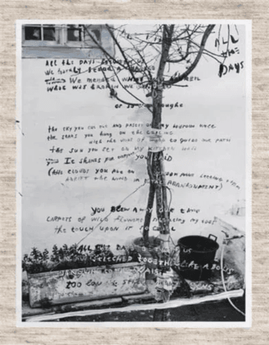 June av Annemarieke van Drimmelen, Jasper Krabbe