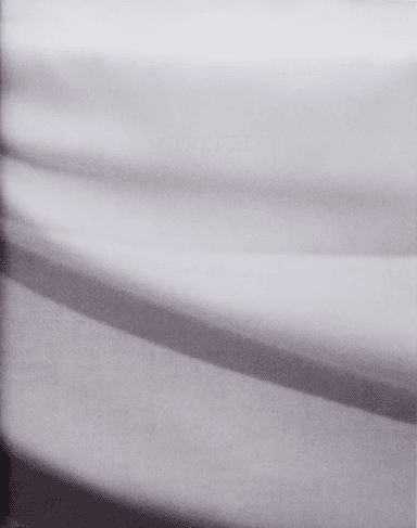 Transi av Margot Jourquin