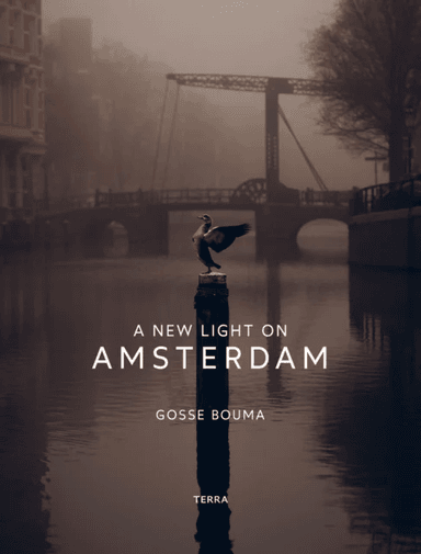 A New Light on Amsterdam av Gosse Bouma