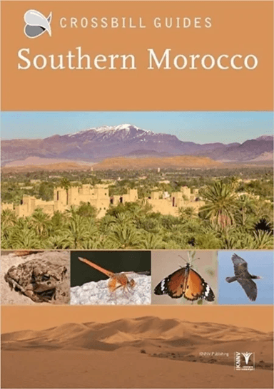 Southern Morocco av Martin Pitt