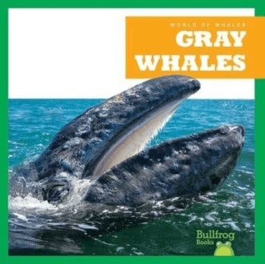 Gray Whales av Eliza Leahy
