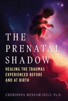 The Prenatal Shadow av Cherionna Menzam-Sills