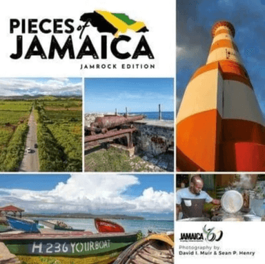 Pieces of Jamaica av Sean Henry
