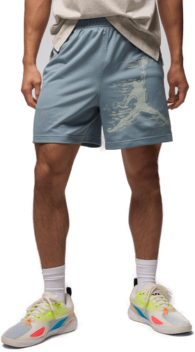 Jordan Dri-FIT shorts til herre - Grå