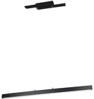 Trio Lighting Belfast taklampe matt sort