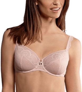 Rosa Faia Selma BH Gammelrosa