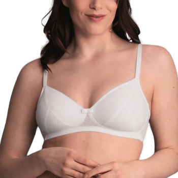 Rosa Faia BH Rosemary