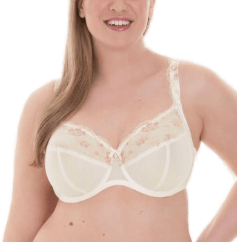 Rosa Faia Colette BH Benhvit