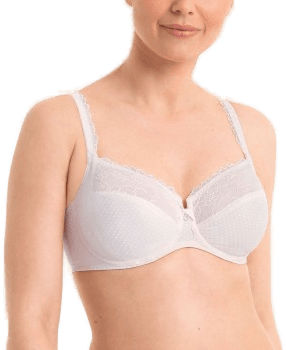 Rosa Faia Eloise BH Lysrosa