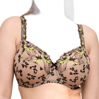 Primadonna Manali Full Cup BH