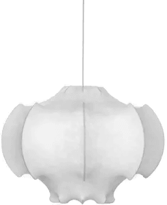 Flos Viscontea White