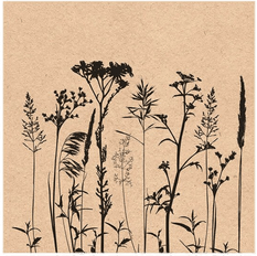 Ambiente Serviett 33x33 cm Herbs & Flowers