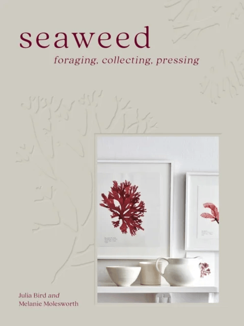 Seaweed av Melanie Molesworth, Julia Bird