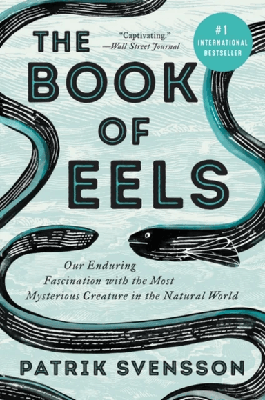 The Book of Eels av Patrik Svensson