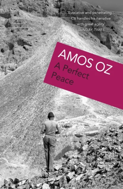 A Perfect Peace av Amos Oz