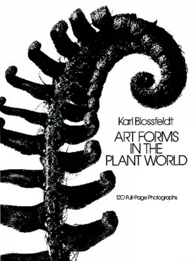 Art Forms in the Plant World av Karl Blossfeldt