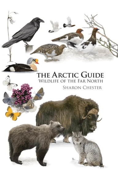 The Arctic Guide av Sharon Chester