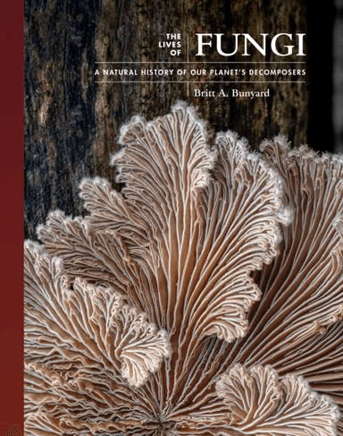 The Lives of Fungi av Britt A. Bunyard