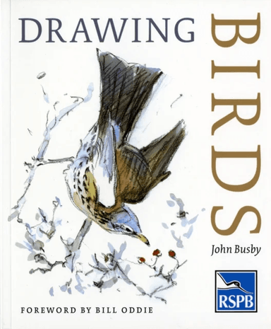 Drawing Birds av John Busby