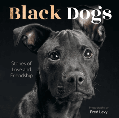 Black Dogs av Fred Levy