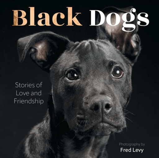Black Dogs av Fred Levy