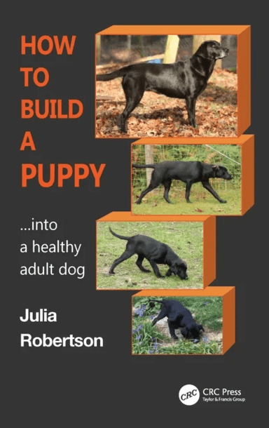 How to Build a Puppy av Julia (Galen Myotherapy UK) Robertson