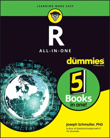 R All-in-One For Dummies av Joseph Schmuller