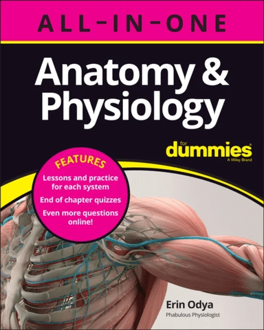 Anatomy & Physiology All-in-One For Dummies (+ Chapter Quizzes Online) av Erin Odya