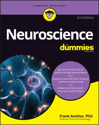 Neuroscience For Dummies av Frank Amthor