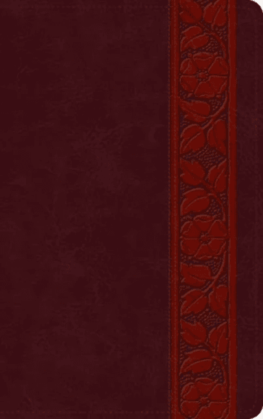 ESV Large Print Personal Size Bible