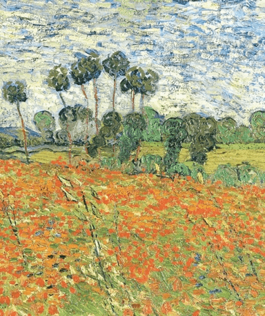 Raven Biology of Plants av Susan E. Eichorn, Ray Evert