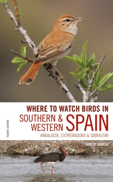 Where to Watch Birds in Southern and Western Spain av Ernest Garcia, Mr Andrew Paterson