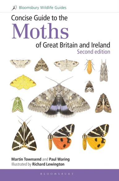Concise Guide to the Moths of Great Britain and Ireland: Second edition av Martin Townsend, Dr Paul Waring