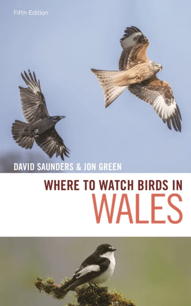 Where to Watch Birds in Wales av David Saunders, Jon Green