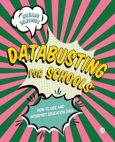 Databusting for Schools av Richard Selfridge