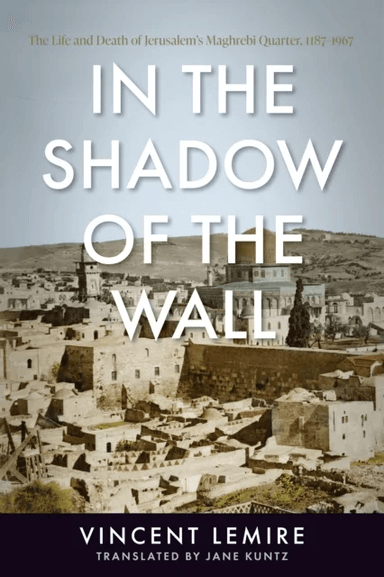 In the Shadow of the Wall av Vincent Lemire