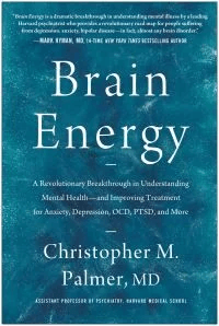 Brain Energy av Christopher M. Palmer