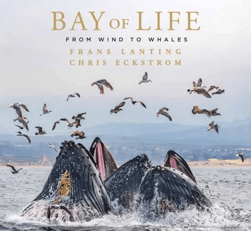 Bay of Life av Frans Lanting, Chris Eckstrom