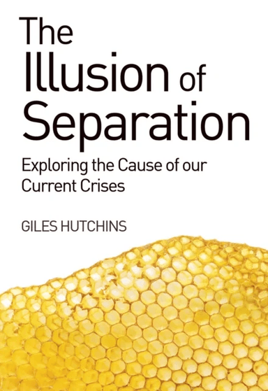 The Illusion of Separation av Giles Hutchins
