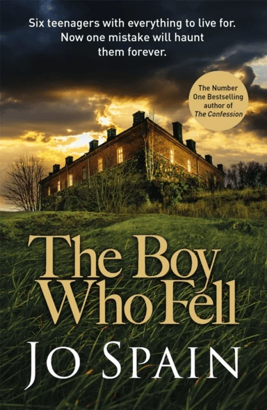 The Boy Who Fell av Jo Spain