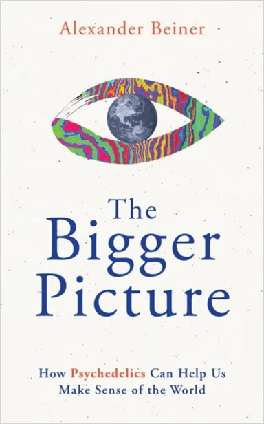 The Bigger Picture av Alexander Beiner
