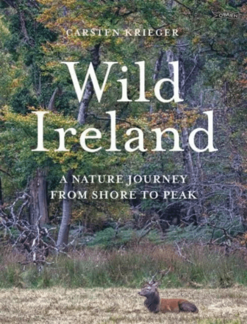 Wild Ireland av Carsten Krieger