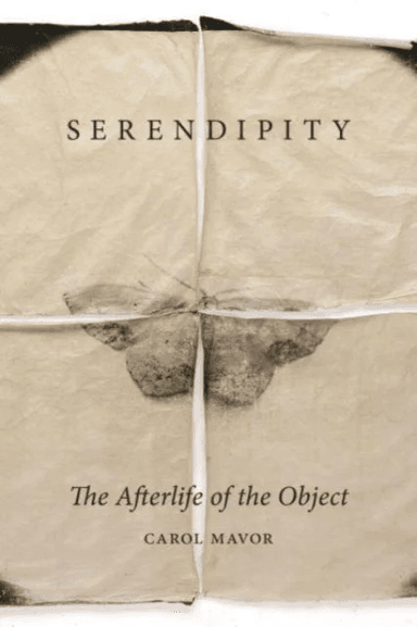 Serendipity av Carol Mavor