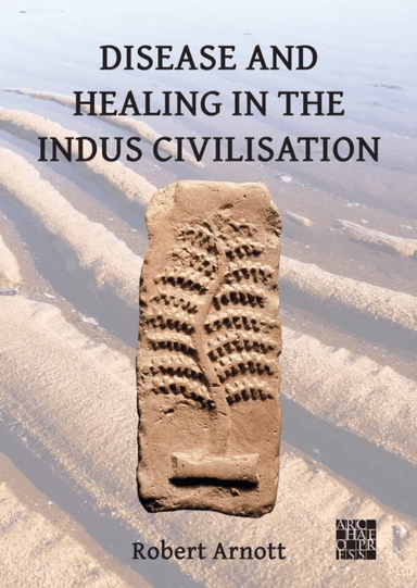 Disease and Healing in the Indus Civilisation av Robert (Fellow of Green Templeton College University of Oxford) Arnott